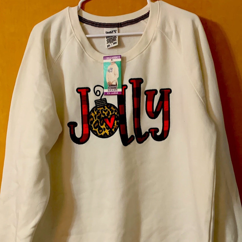 Cute sweater 2x